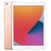 iPad 8th Gen (2020)