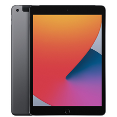 iPad 8th Gen (2020)